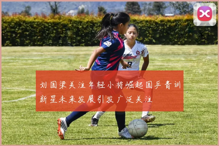 刘国梁关注年轻小将崛起国乒青训新星未来发展引发广泛关注