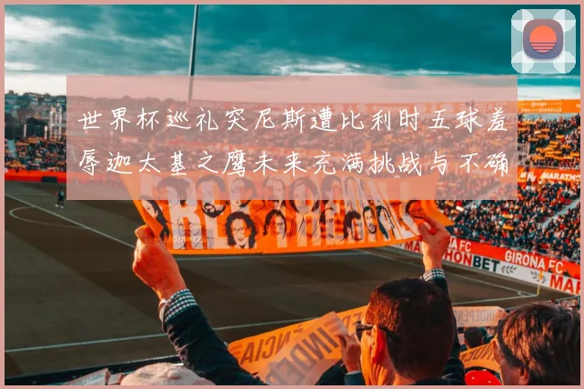 世界杯巡礼突尼斯遭比利时五球羞辱迦太基之鹰未来充满挑战与不确定性